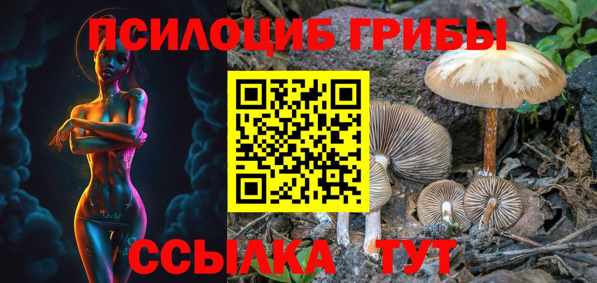 продажа наркотиков  Галлюциногенные грибы Psilocybine cubensis  Вход с VPN  Скопин 